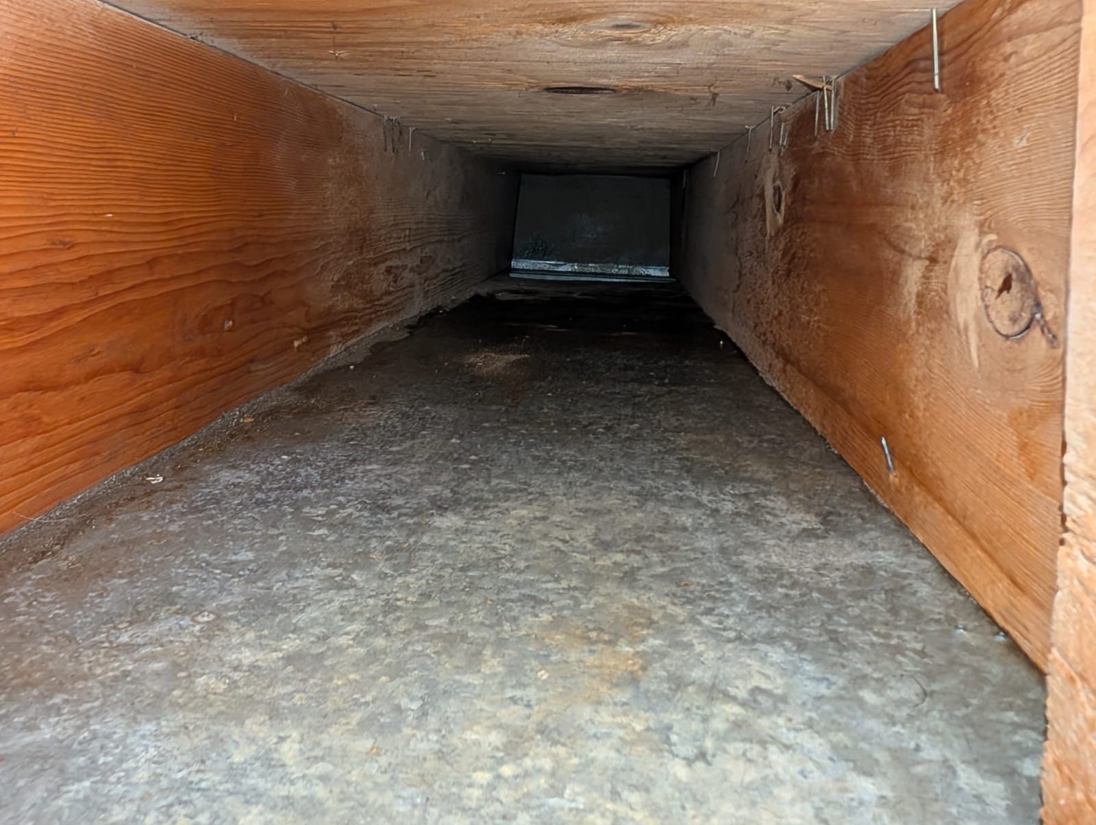 AtmoVex Chimney inspection photo